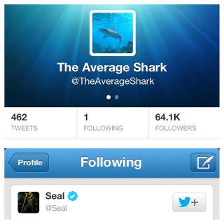 Illustration for article titled On Twitter, @TheAverageShark follows just one person